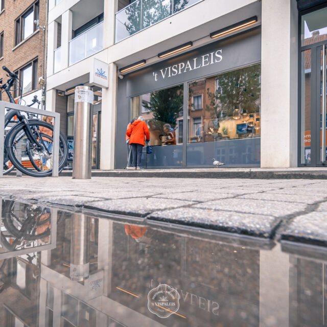 Kim Vanbesien Fotografie 12